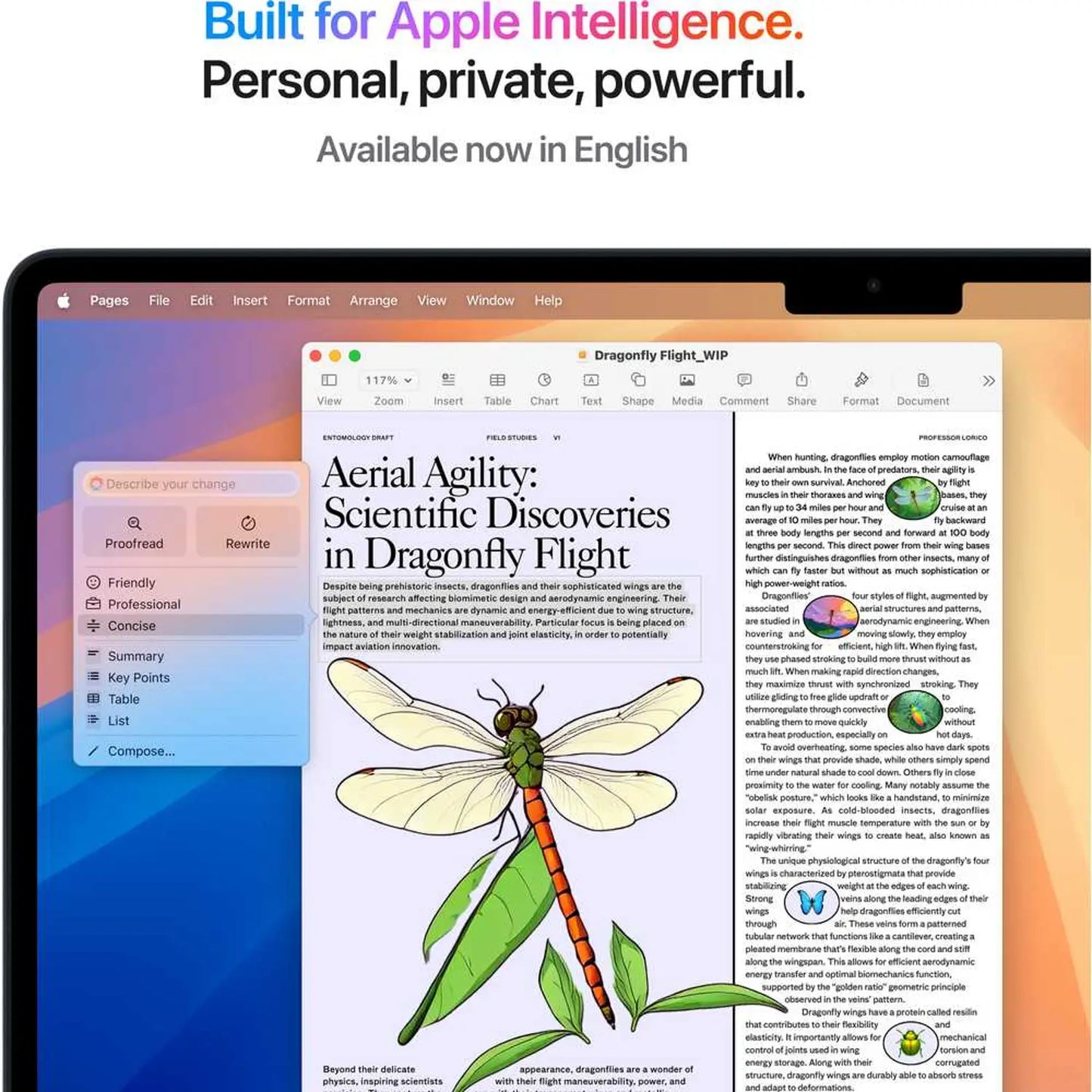 Apple MacBook Air M4 مقاس 15 بوصة (2025)